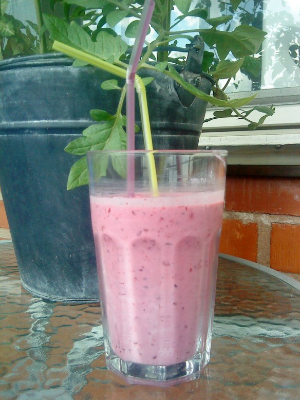 Afilochbär A-fil & frysta bär.